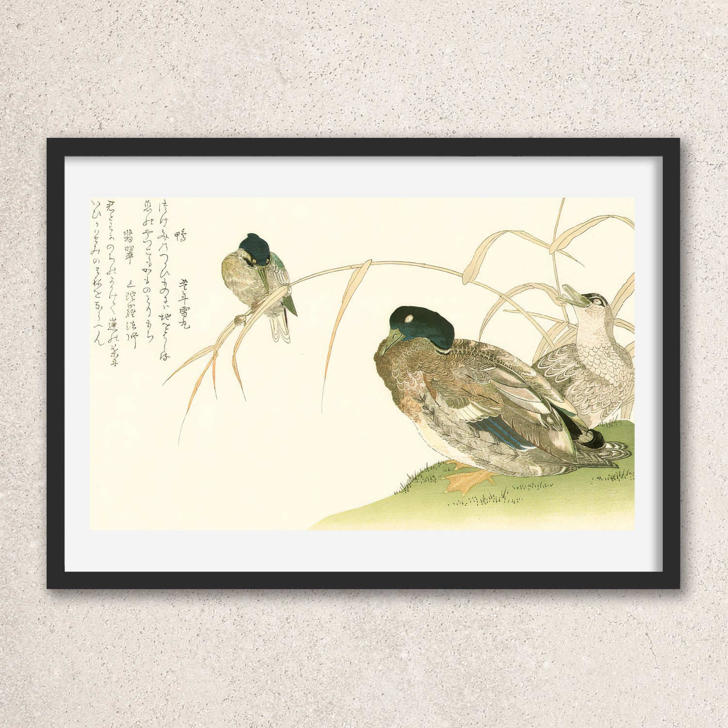 Main image: Japanese Ukiyo-e Art Poster Ukiyo-e Giclée - Kitagawa Utamaro , ― | 50470-001